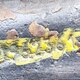Балка передняя б/у 0962361 для DAF (Даф) - 1