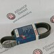Ремень поликлиновый нов. \ BOSCH