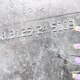 Крышка кабельной шахты б/у 81254245002 / 81254245009 для MAN (Ман) - 2