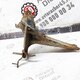 Кронштейн кабины передний прав. б/у 85417203058 / 81417203148 для MAN (Ман) - 3