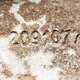 Выпускной коллектор б/у 20508112 / 20508114 / 20910779 для Volvo (Вольво) - 4