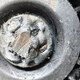 Ролик натяжителя б/у для Scania (Скания) - 1