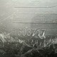 Диффузор б/у 1603717 / 1372297 для DAF (Даф) - 1